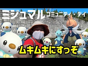 [Pokemon GO] I want to collect XL candy for Muscle! Oshawott Community Day