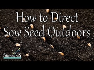 How to Direct Sow Seed Outdoors