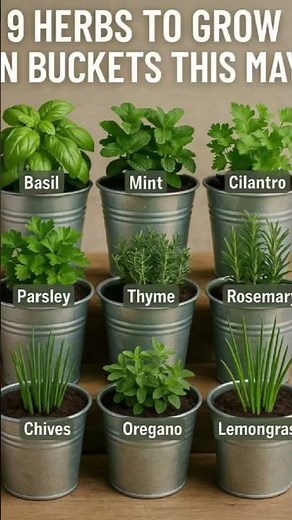 How to Identify 9 Common Herbs | Beginner's Guide to Kitchen Herbs #food #frenchcuisine #chef#yt