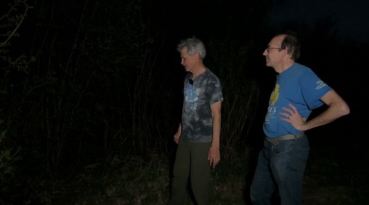 DNR continues long-running Frog and Toad Survey in Wisconsin