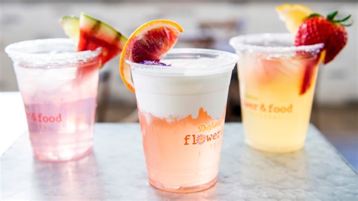 Does Dollywood serve alcohol? Where to find drinks and what to know before your visit this summer