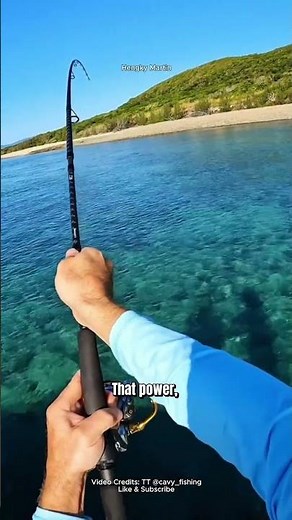 INSANE BEACH FIGHT WITH GIANT PARROT FISH! YOU WON’T BELIEVE THIS CATCH #bigfish #fishing #fish #par