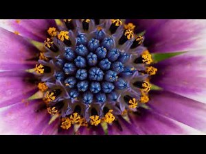 only time - enya (slowed + reverb)