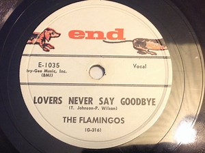 The Flamingos - Lovers Never Say Goodbye