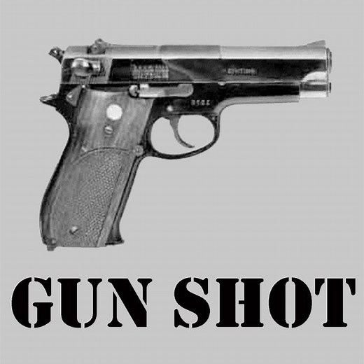Gunshot Ringtone/Text Alert Sound Effect