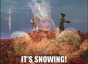 It's snowing!