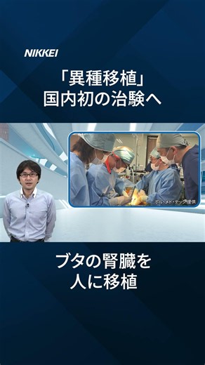 [Xenotransplantation] Pig organ transplants in humans: First domestic clinical trial coming as ea...