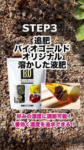つるバラ育てたい人絶対必見‼️