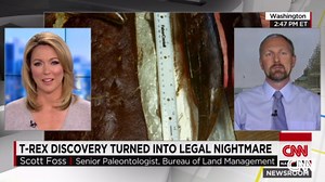 T-Rex discovery turns into legal nightmare