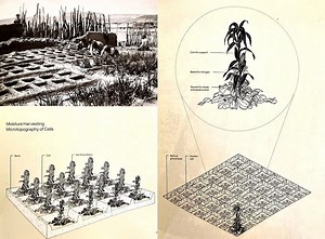 How can we create ‘microclimates’ for learning and change inside organisations?