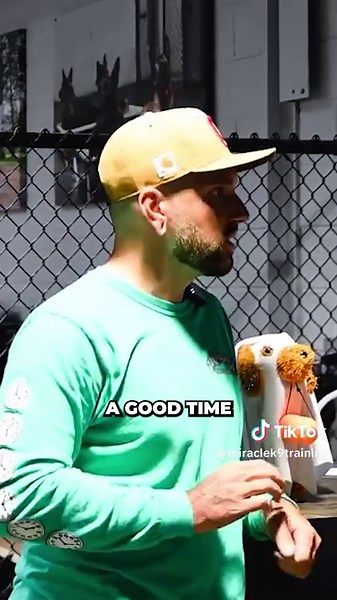 There’s No “Right Way” for Dogs to Play Fetch It’s easy as a dog owner to picture fetch as a perfect routine: throw the ball, dog retrieves it, brings it back, repeat. But many dogs simply don’t enjoy playing that way. Some dogs love the chase, movement, and interaction more than the structured game itself. And that’s completely normal! Play doesn’t have to look perfect to be productive. The real goal is simple: engagement, fun, and clear boundaries. As long as a dog can release the toy when ask