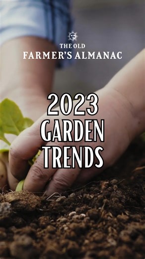 4.6K views · 261 reactions | There's lots to see in 2023! Here are some of the top garden trends for the year. | The Old Farmers Almanac | Facebook
