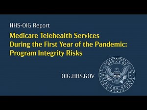 Medicare Telehealth Services During the First Year of the Pandemic: Program Integrity Risks