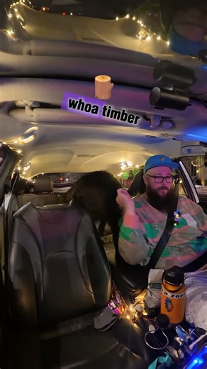 Timber on Instagram: "Timber was too excited to wait to hang with one of his favorites! Chloe and her lovely mother are 2 of Timber's favorite people. they both worked at Timbers favorite store in Missoula Rockin Rudys and would always shower Timber in love! #uberdog #fyp #dogsofinstagram"