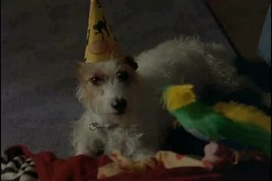 Goosebumps - S 2 E 12 - The Haunted Mask II - Part II