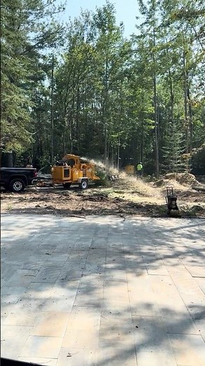 Northern Michigan Barndominium build —Clearing the land!