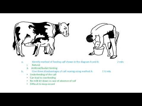 KCSE 2024 AGRICULTURE PAPER