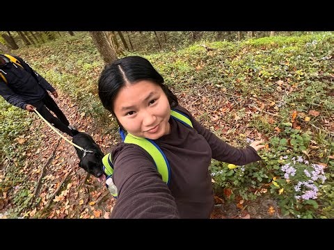 First camping trip : backbone state park IA 📍