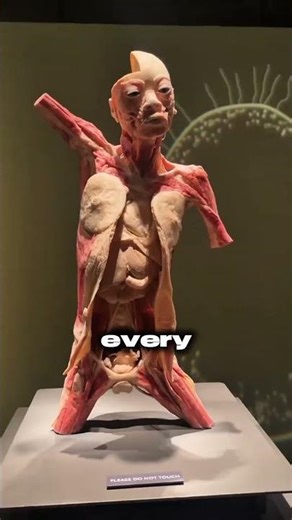 THIS Is How Modern Day Mummification Works!🤯