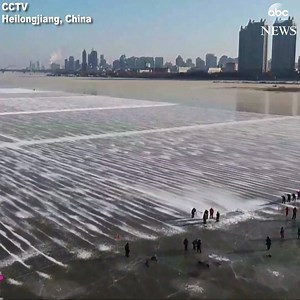 Ice miners cut about 110,000 cubic meters of ice blocks in preparation for the 35th Harbin International Ice and Snow Sculpture Festival, which begins in less than a month. Miners wait until the frozen river reaches a thickness of almost 12 inches before cutting. https://abcn.ws/2EjYchP | ABC News