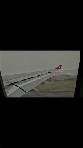 Landing into Istanbul Airport | #turkishairlines #xplane12