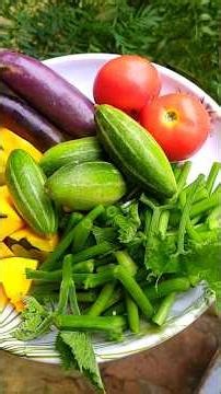 Delicious Mixed Vegetable Curry with Potato, Pointed Gourd, Pumpkin, Eggplant & Tomato |