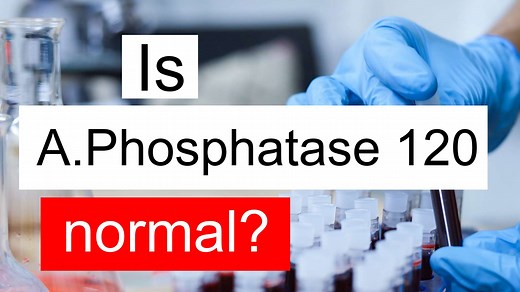 Is Alkaline phosphatase 120 normal, high or low? What does ALP level 120 mean?