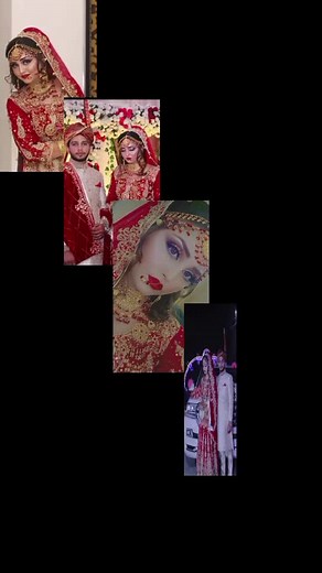 Golden Memory Collection: Cherished Moments