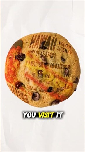 Cookies Explained in 30 Seconds 🍪#tech #shorts