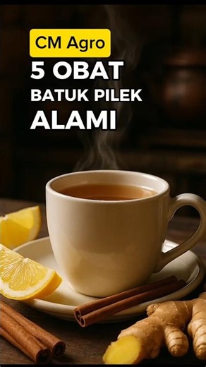 5 NATURAL COLD AND COUGH REMEDIES THAT ARE PERFECT FOR YOU‼️ #herbal #delicious #healthy #cough #...