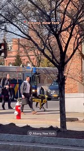 640K views · 1.9K reactions | Meanwhile, in Albany… Hopefully they don’t byte  Around Albany : @crotchetyoldadventurer | Two Buttons Deep | Facebook