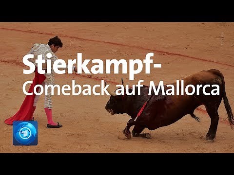 Trotz Protesten: Stierkampf feiert Comeback auf Mallorca