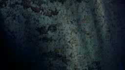 background animated screensavers texture walls for desktop,...