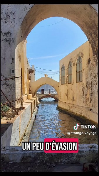 10 Activités Incontournables à Faire à Alger