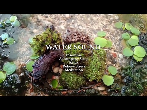Dripping Water Sounds, for Treat Insomnia Relieve Stress (1 Hours)