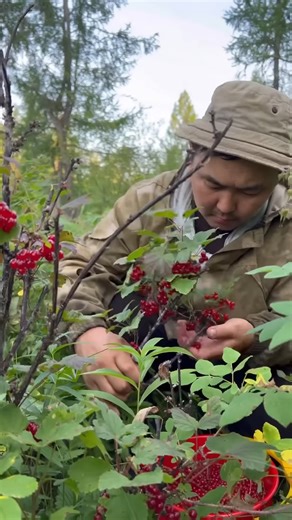 Cooking red currant jam We stock up for the winter - #Pandasakha | Pandasakha