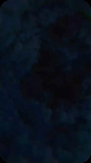 Carlitos Flyers on TikTok