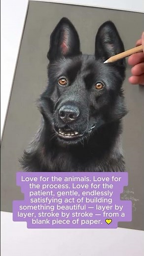 Drawing animal portraits with pastel pencils is a practice of love. 🐾