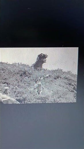 Godzilla (1954) vs Shadow (STH3)