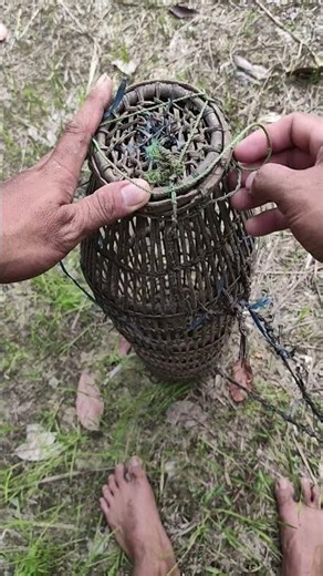How to install a fish trap lid