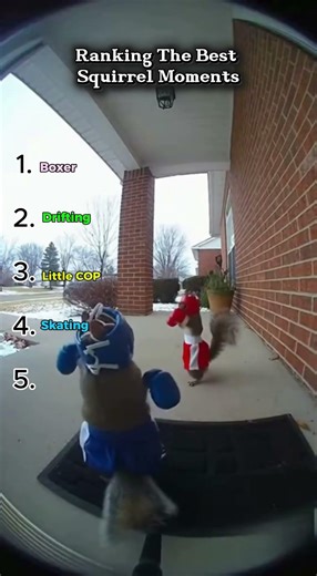 Ranking the Funniest AI Squirrel Moments 😂🐿️#shorts