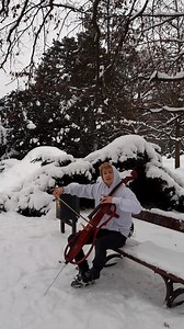 1.1M views · 56K reactions | CANT HELP FALLING IN LOVE - beautiful cello cover by Janek Diug. | The World Music | Facebook