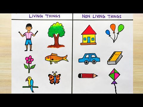 How to draw living and non-living things| Living things drawing easy |Non-living things drawing easy
