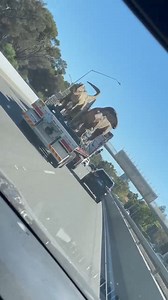 306K views · 2.1K reactions | Anti tailgate technology deployed on the Freeway today 練練練練 (Danelia) | The Bell Tower Times | Facebook