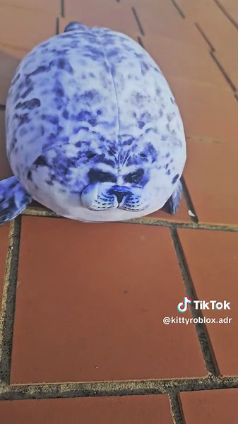 brutal #seal #aesthetic