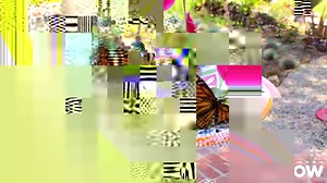 151K views · 747 reactions | Attract more butterflies to your yard...