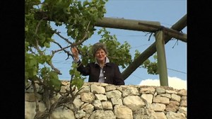 Matthew #36 - Resting or Resisting