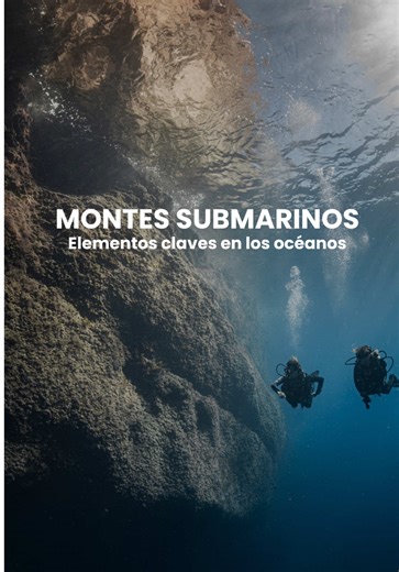 Descubre Mauna Kea: La montaña bajo el océano