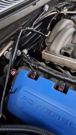 Coyote Ticking Noise Help Coyote Swapped Cobra Mustang