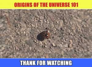 Origins of the Universe 101 | Free From Gravity